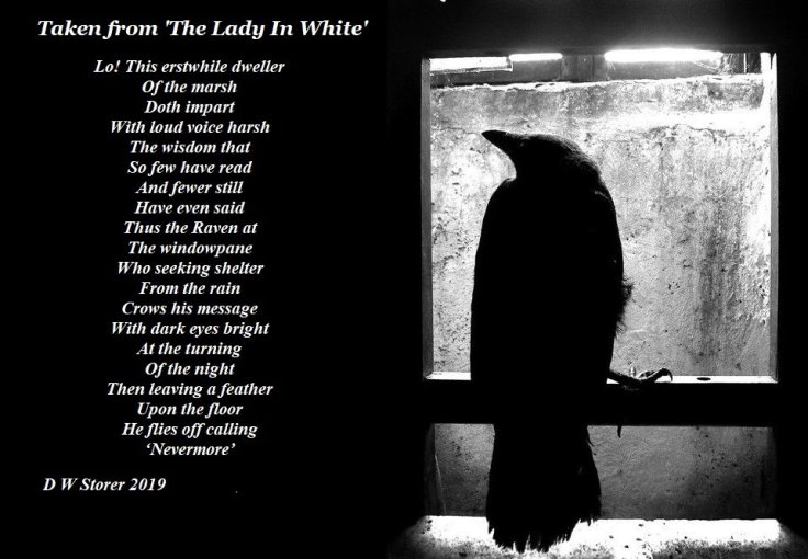 the raven835645903..jpg