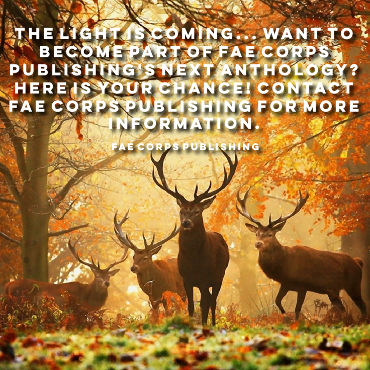 67784882_475685019921203_5373345107699302400_n