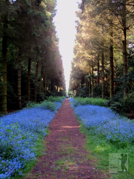 imageedit_2_4664310295 (1)