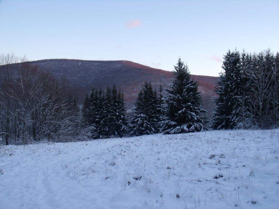 FB_IMG_1539306014296