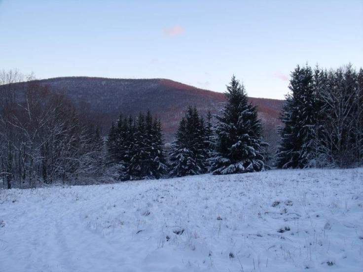 FB_IMG_1539306014296